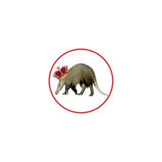 LordAardvark