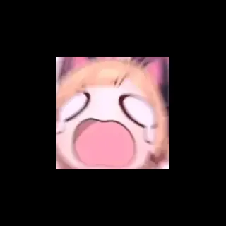 Fengyunmomo