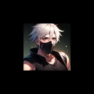 NinNinja