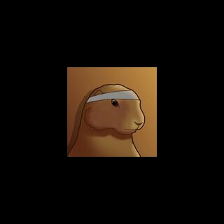 GopherBagel