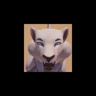 Wild Time Vids
