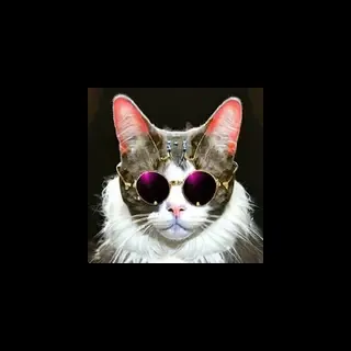 BaronVonMeowsberg