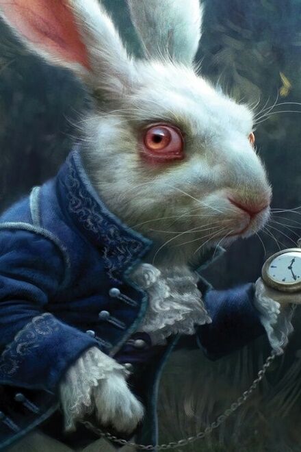 White Rabbit