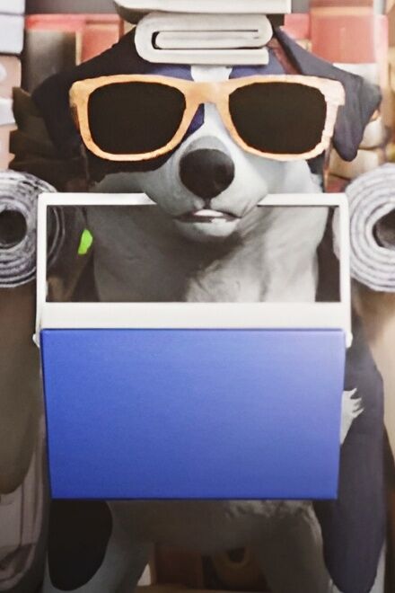 Collie