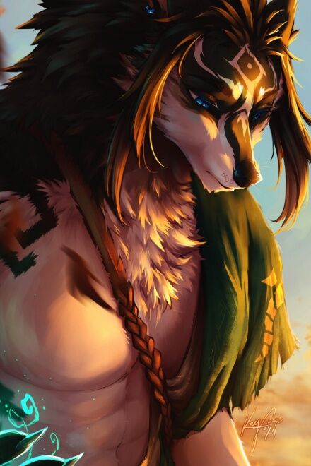 Wolf Link