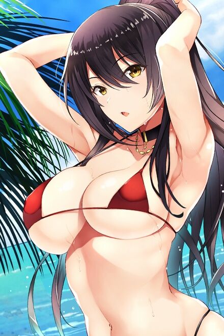 Sakuya Shirase
