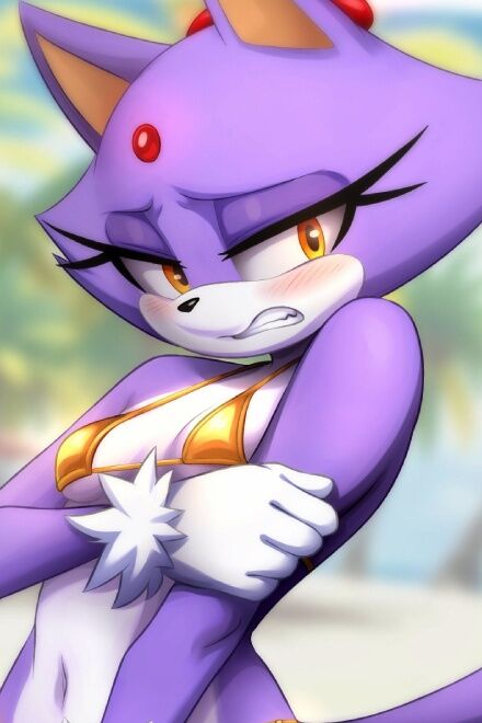 Blaze the Cat