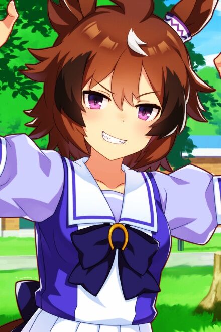 Shinko Windy