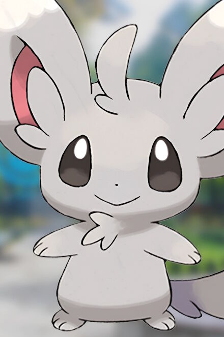 Minccino