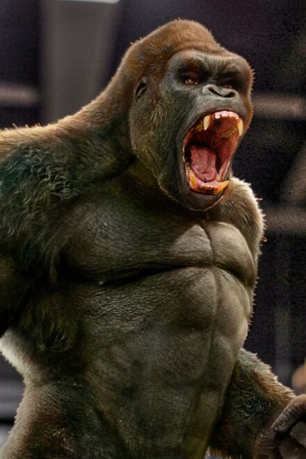 Kong