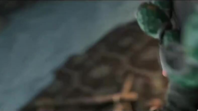 Momiji Gets Her Ass And Pussy Stretched By A Demon