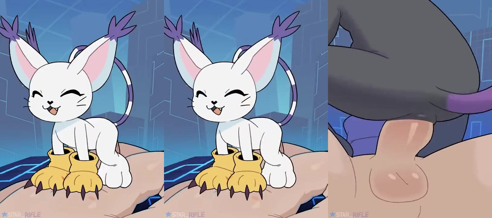 Gatomon And BlackGatomon Take Turns Riding Their Tamer\