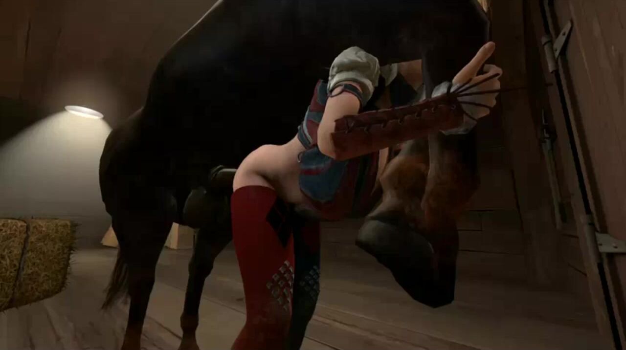Harley Quinn Takes On A Horse\