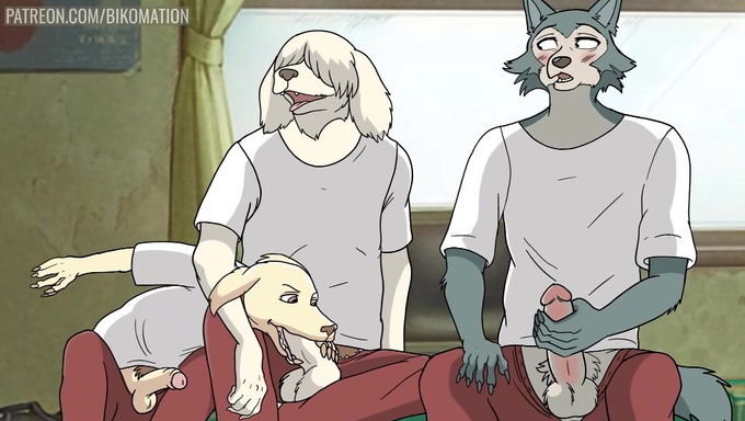 Legoshi Strokes His Dick While Watching Jack Give Collot A Blowjob