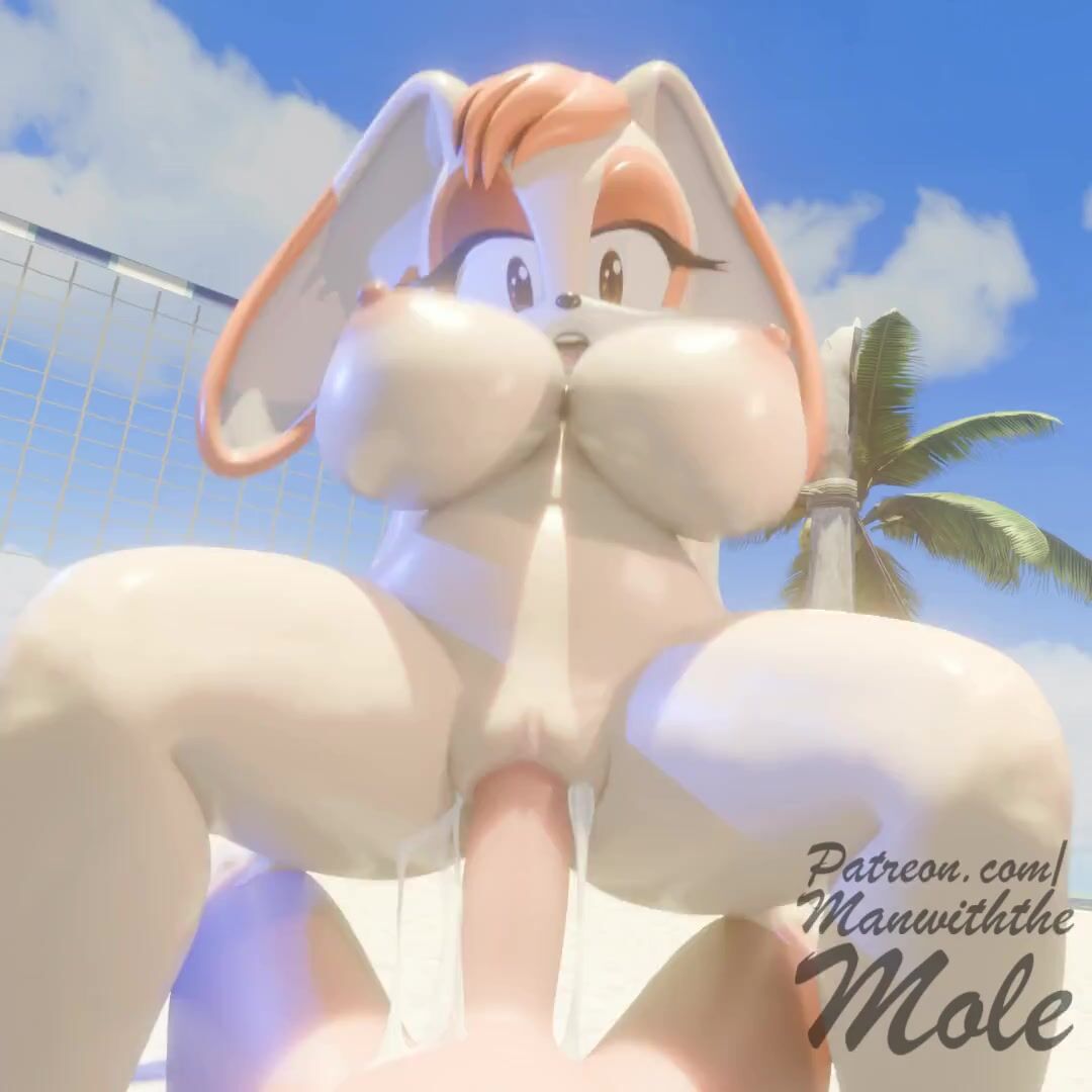 Busty Vanilla The Rabbit Rides A Huge Cock On The Beach