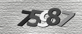 Captcha resmi