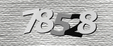 Captcha resmi