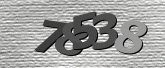 Captcha resmi