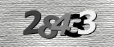 Captcha resmi